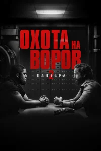 Охота на воров 2: Пантера бесплатно в HD